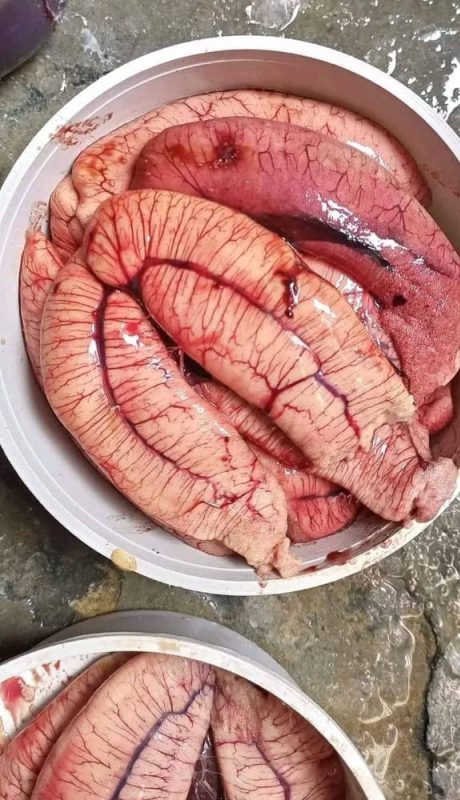 তাজা ইলিশের ডিম